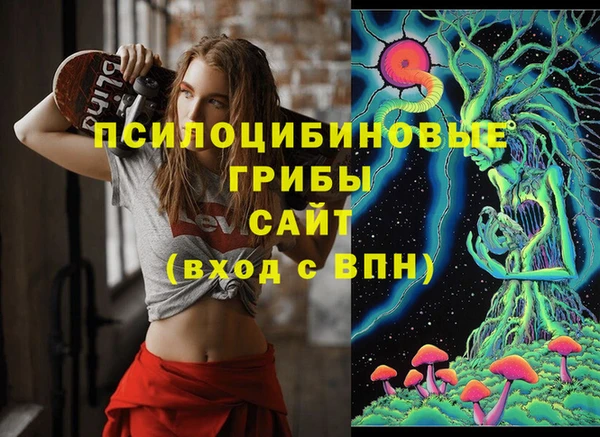 тгк Козловка